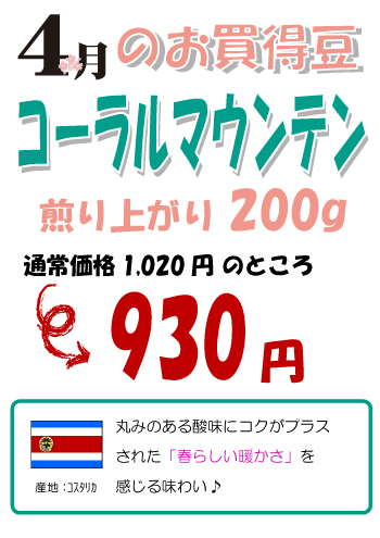 【今月のお買い得豆】4月は「コーラルマウンテン」